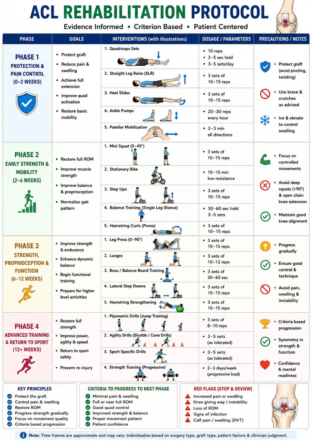Acl rehab phase wise protocol with excercise.